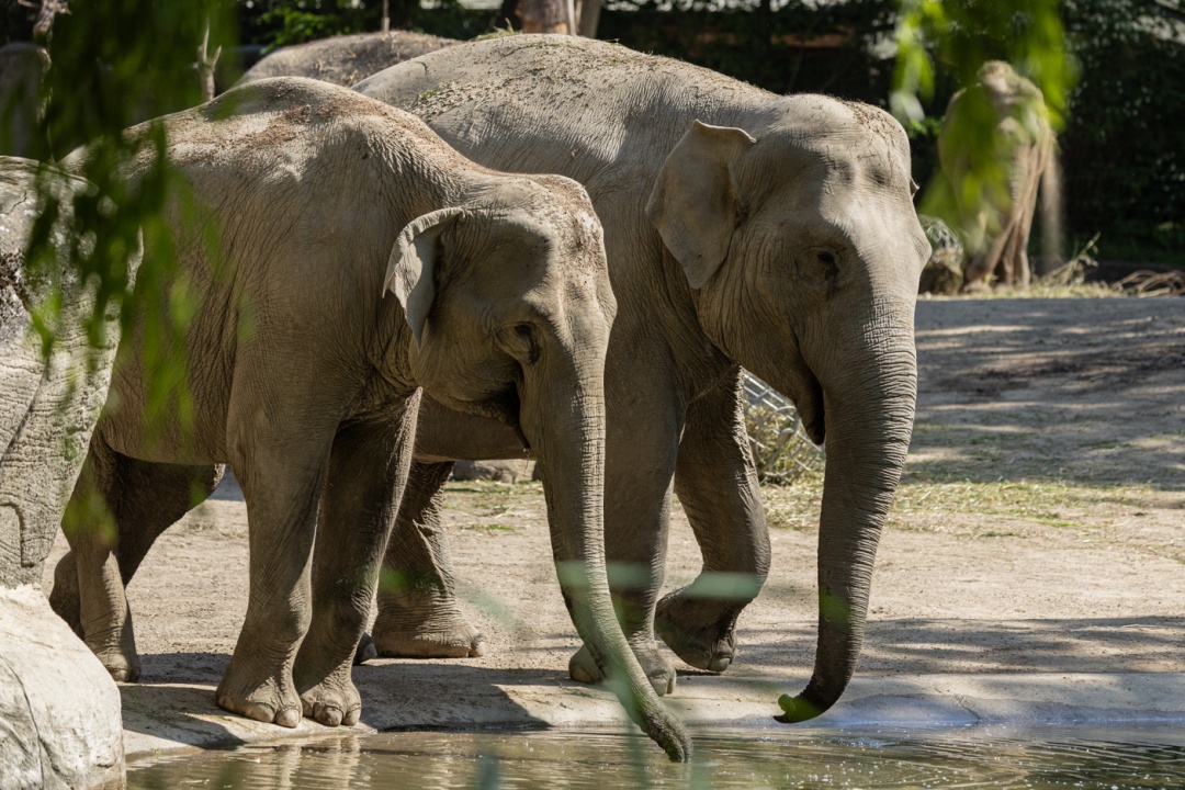 Bild für Tierpark